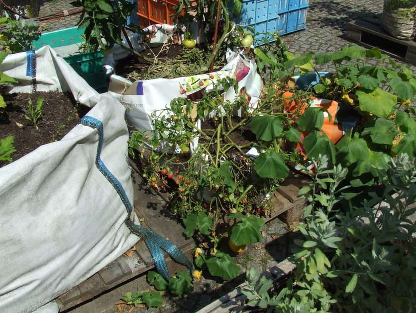 ekologisk trädgård pussel online från foto