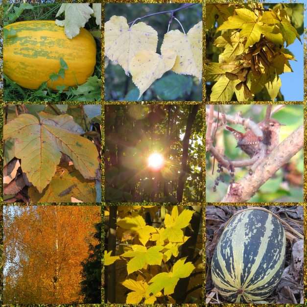 Collage de otoño rompecabezas en línea