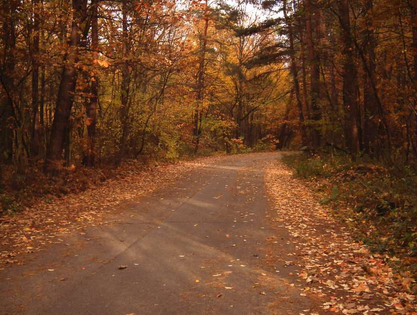 Autumn road puzzle online from photo