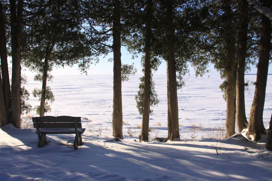 Зимние пейзажи в округе Дор, Wi 1 онлайн-пазл