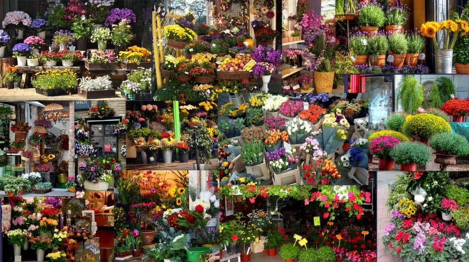 Floristas puzzle online