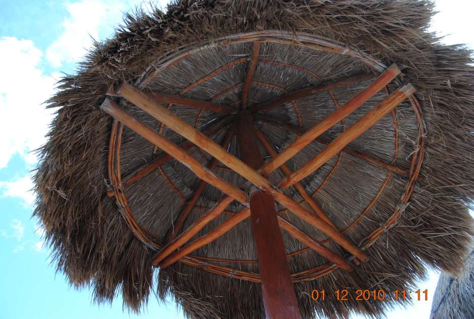 Abrigo de palmeiras na Riviera Maia puzzle online a partir de fotografia