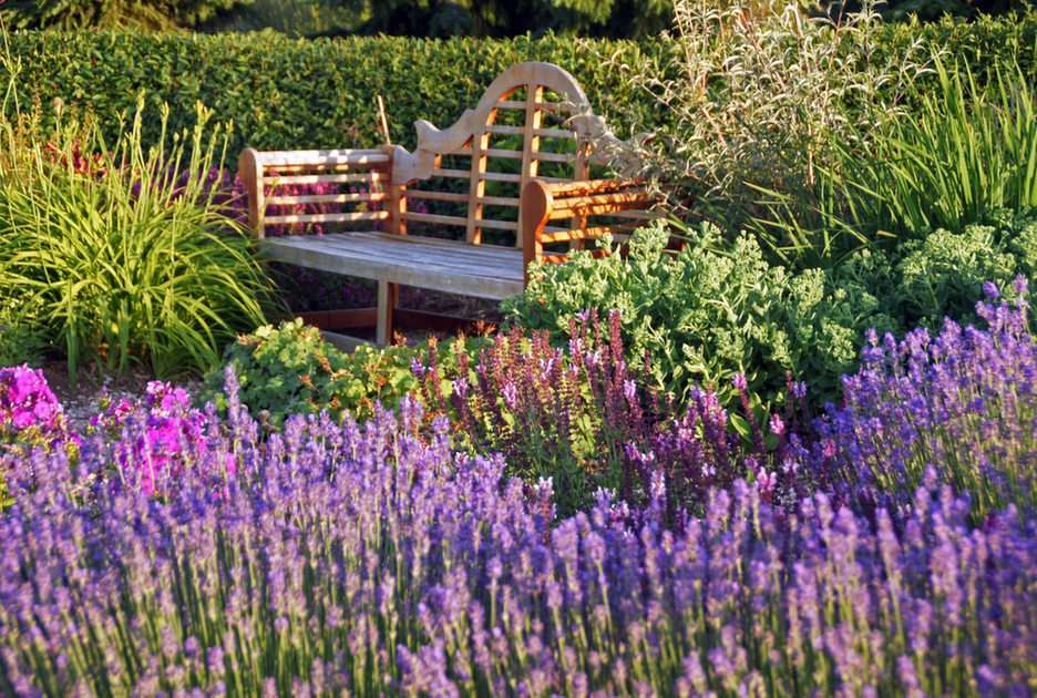 a bench in an English perennial bed online puzzle