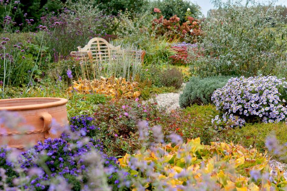 English perennial bed online puzzle