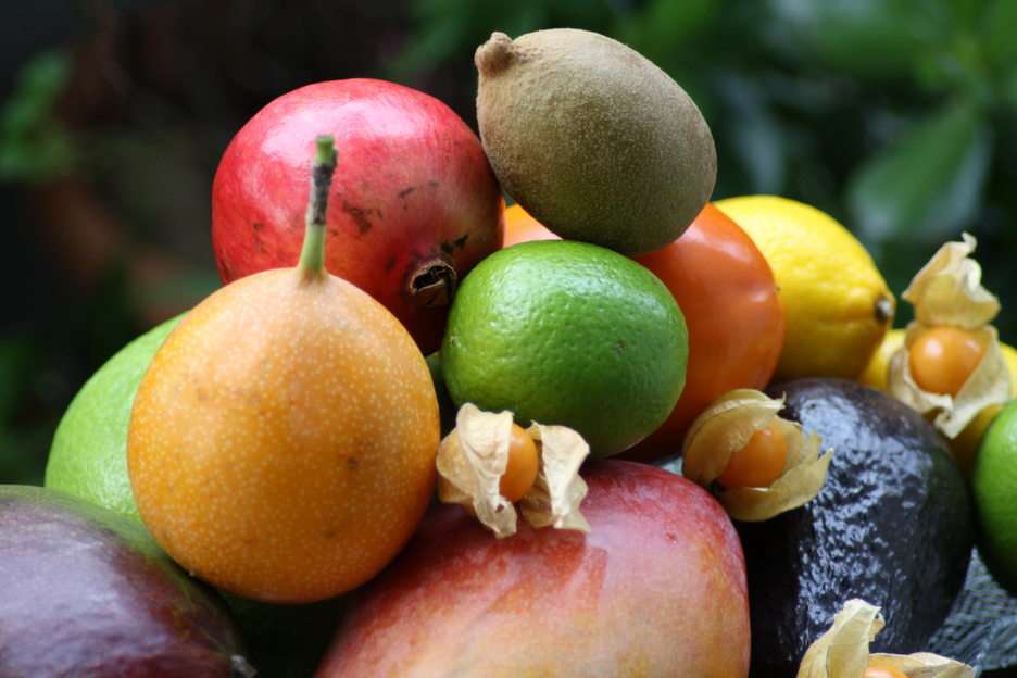 exotic fruits online puzzle