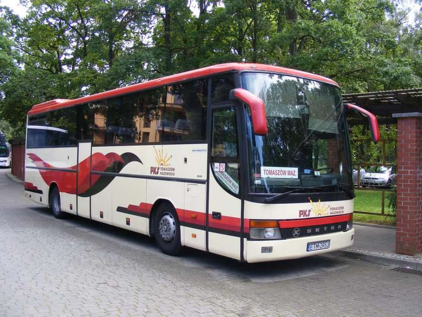 Setra puzzle online from photo