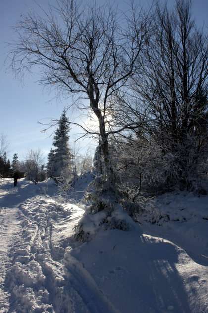 зимата в планината онлайн пъзел от снимка
