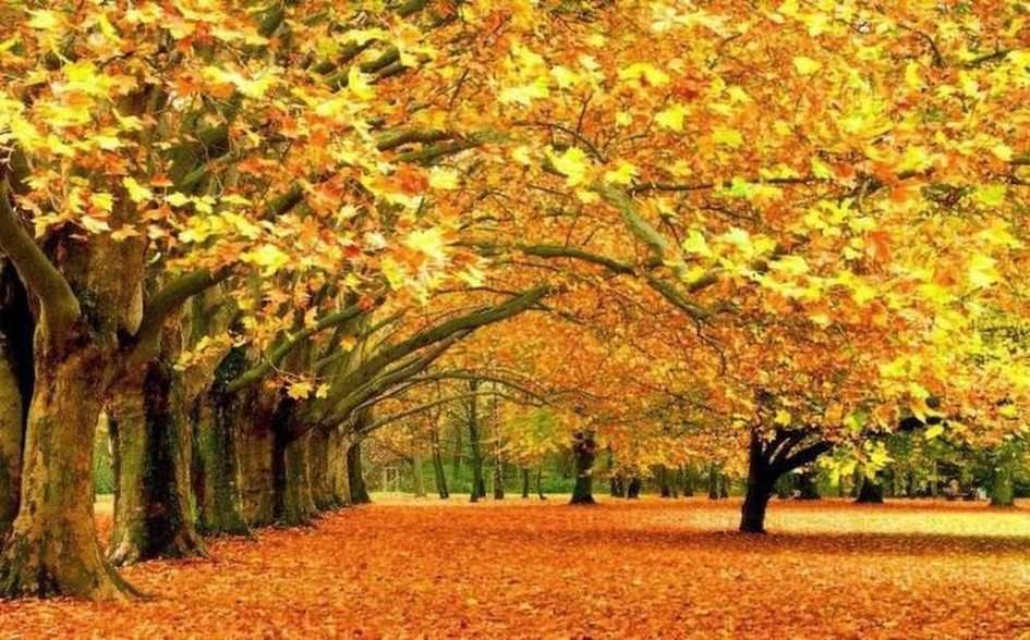 autunno puzzle online da foto