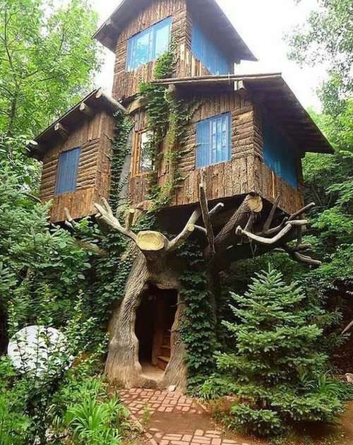 dům na stromě puzzle online z fotografie