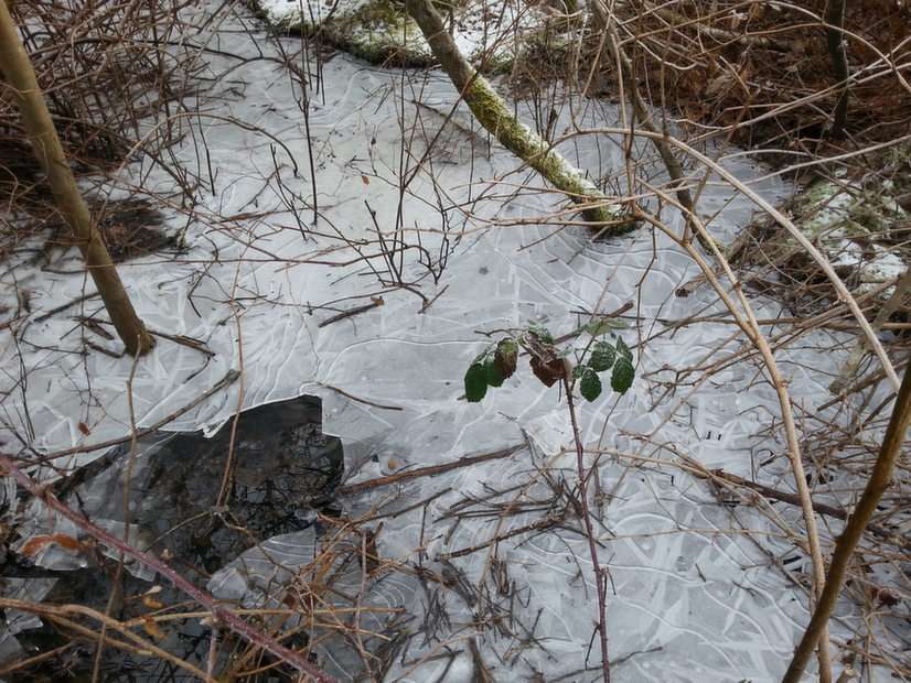 Bevroren vijver puzzel online van foto