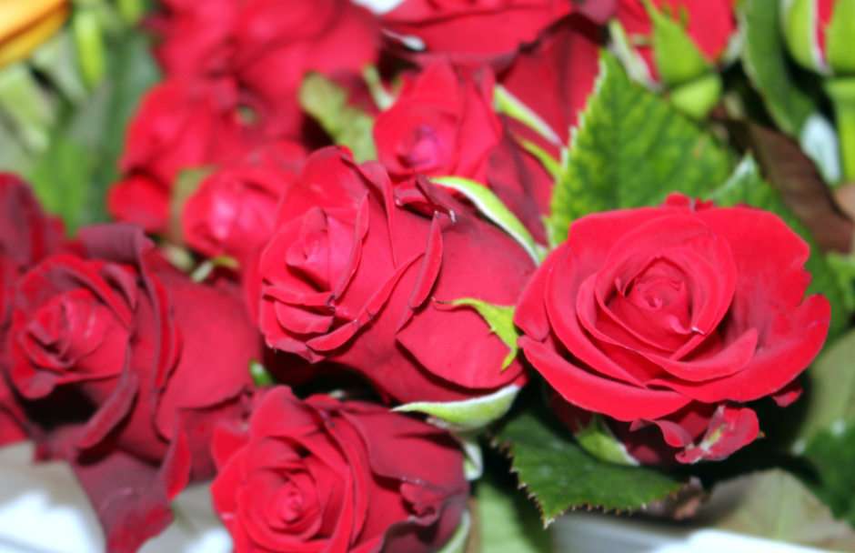 Рози онлайн пъзел от снимка