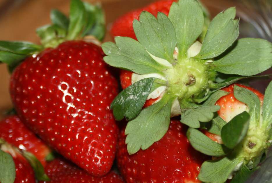 Spanish strawberries puzzle online from photo