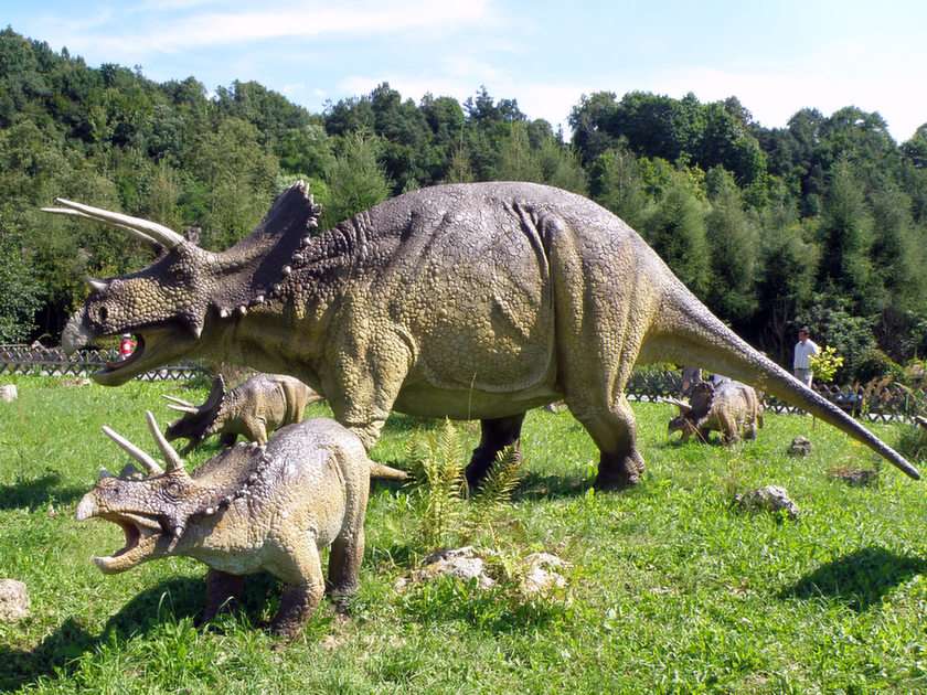 Triceratops rompecabezas
