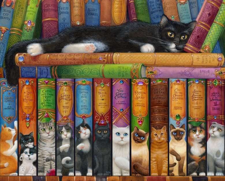 Pisică așezată pe cărți puzzle online din fotografie