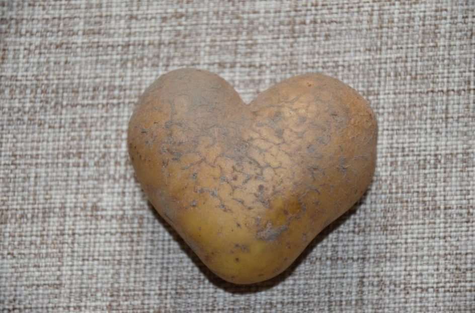 Min potatis pussel online från foto