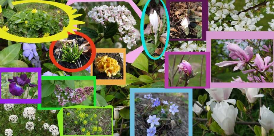 Frühling !!! Online-Puzzle vom Foto