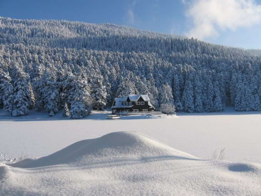 зимний пейзаж пазл онлайн из фото