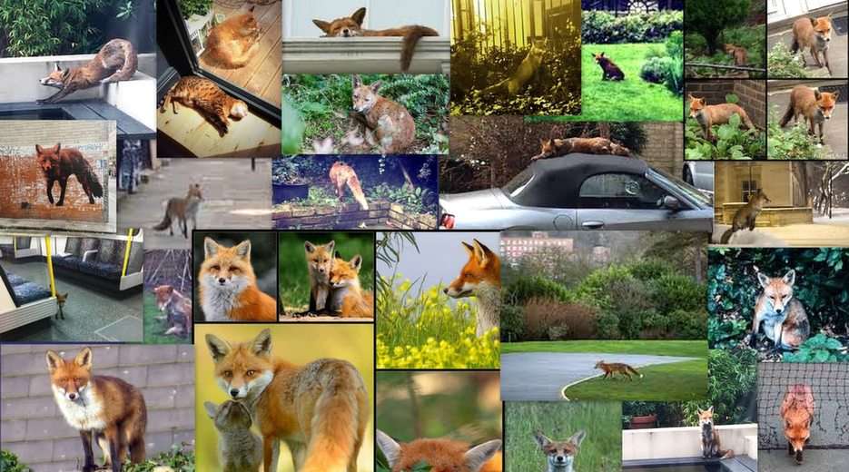 Allestädes närvarande rävar i London pussel online från foto