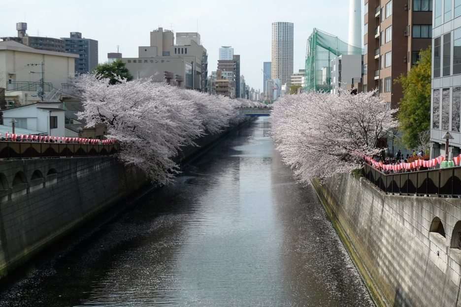 Река Мегуро Гава (Токио, Япония) онлайн пъзел