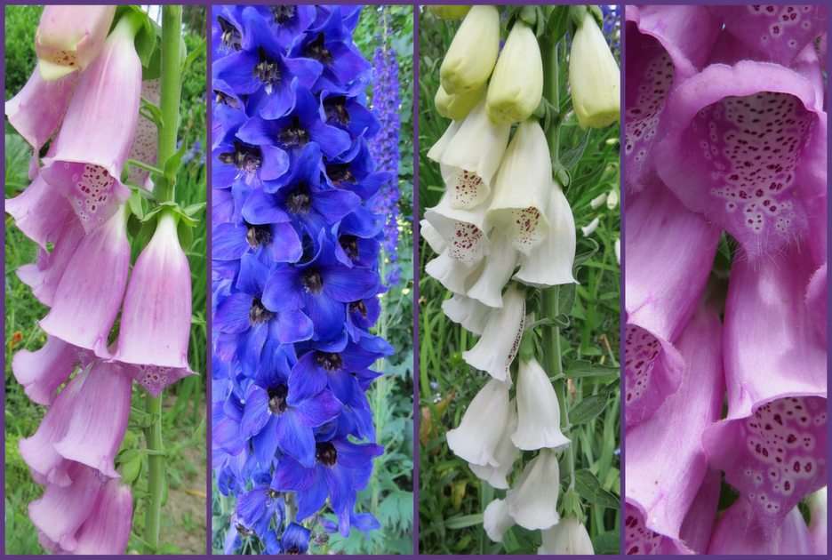 June flowers puzzle online from photo