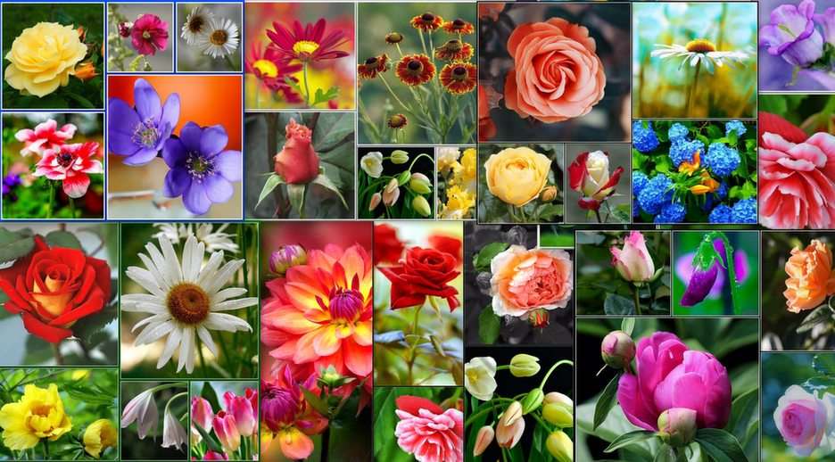 花のコラージュ 写真からオンラインパズル