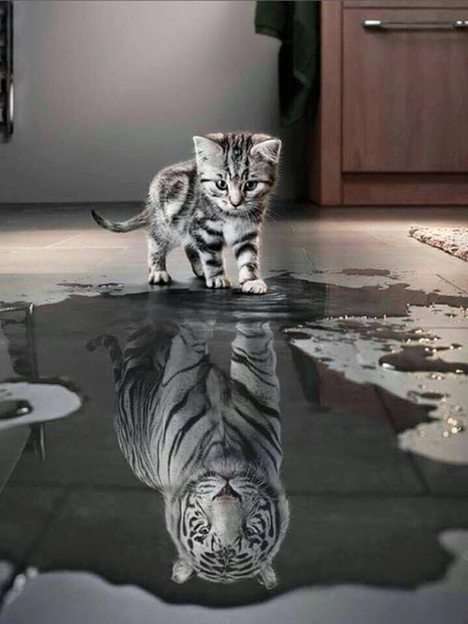 Pisoi la un tigru puzzle online din fotografie