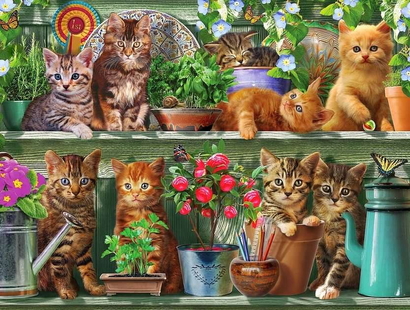 Kittens online puzzel