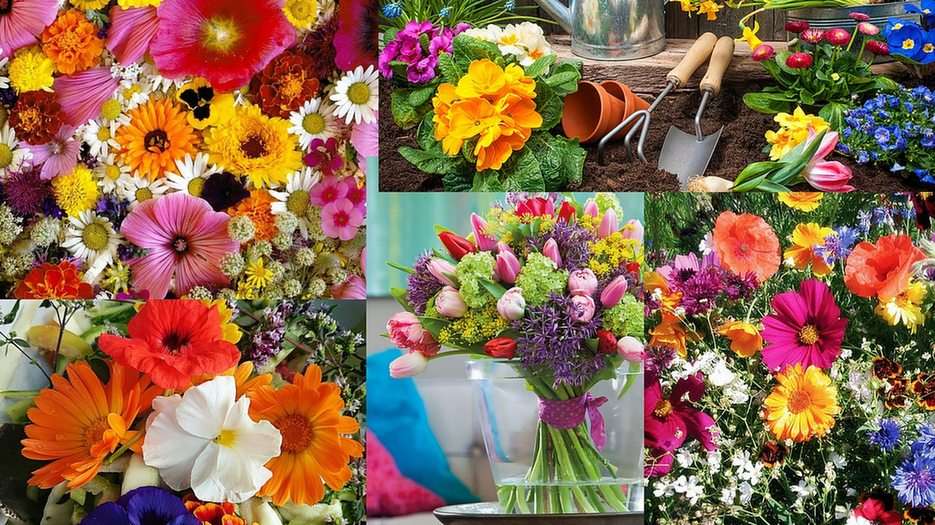 Bloemen puzzel online van foto