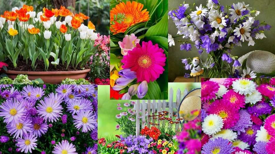 Flori puzzle online din fotografie