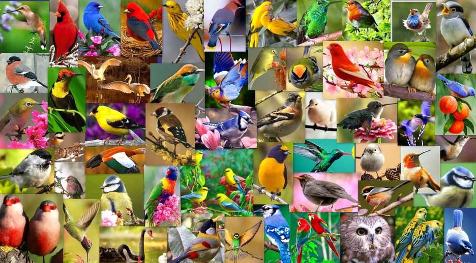 De vogels online puzzel