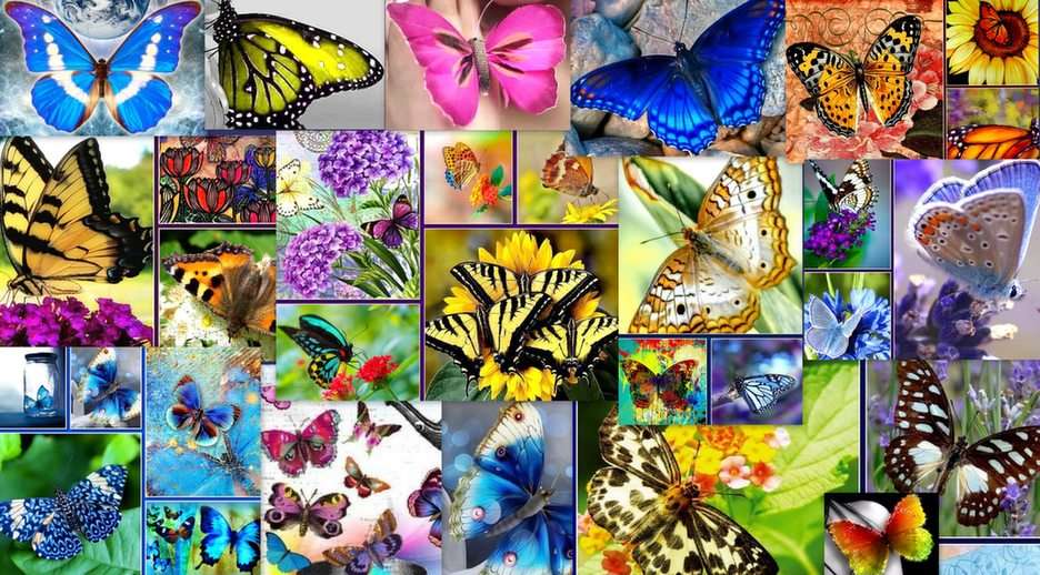 Farfalle puzzle online