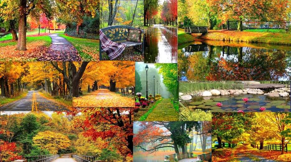 Autumn park online puzzle