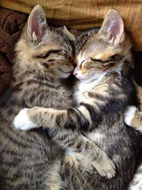 kramar pussel online från foto