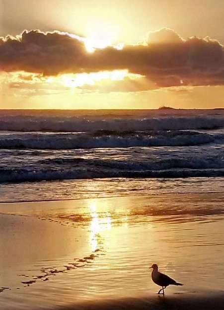 Восход солнца в Фингал-Хед, Австралия онлайн-пазл