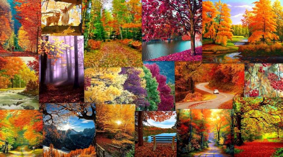 Herbst Online-Puzzle vom Foto