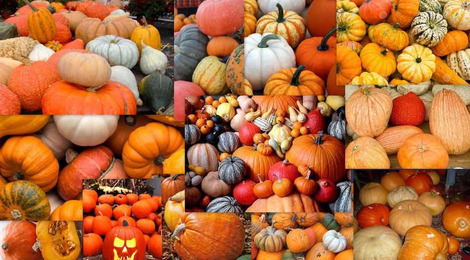 Pumpkins online puzzle
