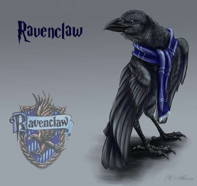 Gryffindor Ravenclaw pussel