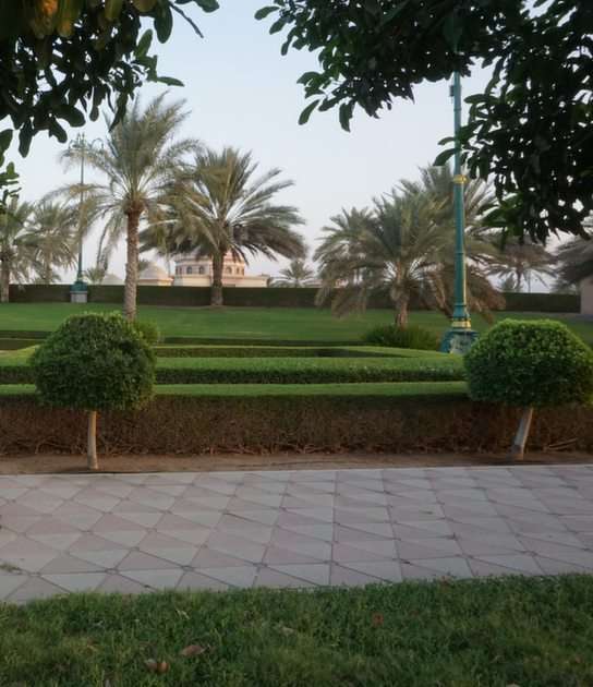 Park in Muscat puzzle online from photo