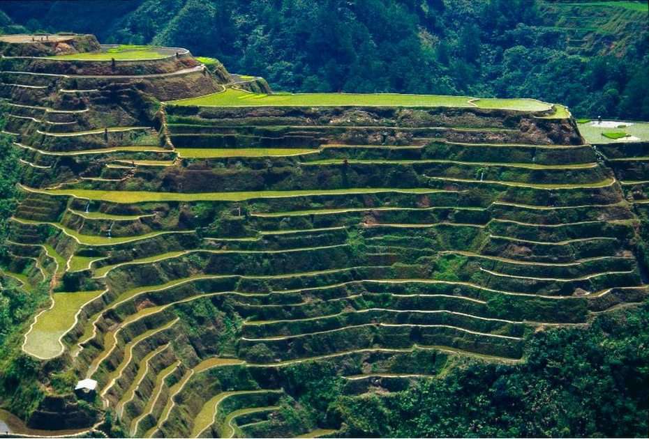 rice terraces puzzle online from photo