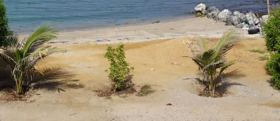 Praia no Golfo de Omã puzzle online a partir de fotografia