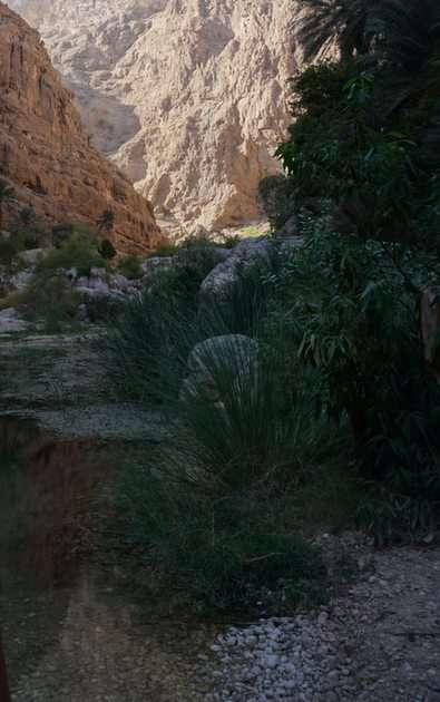 Деревня в горах Омана онлайн-пазл