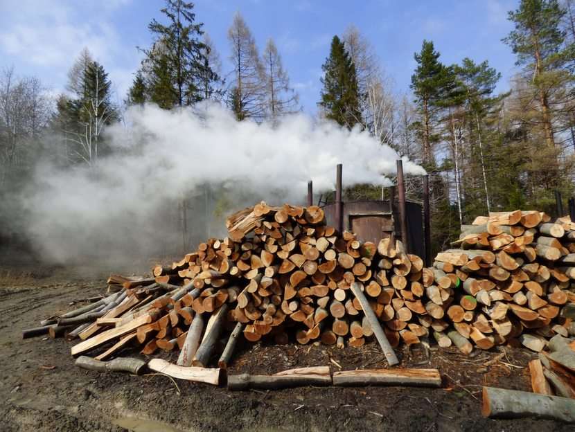 Lemn ars în Munții Bieszczady puzzle online