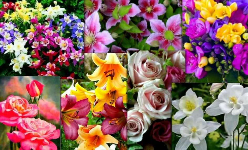 квіти скласти пазл онлайн з фото