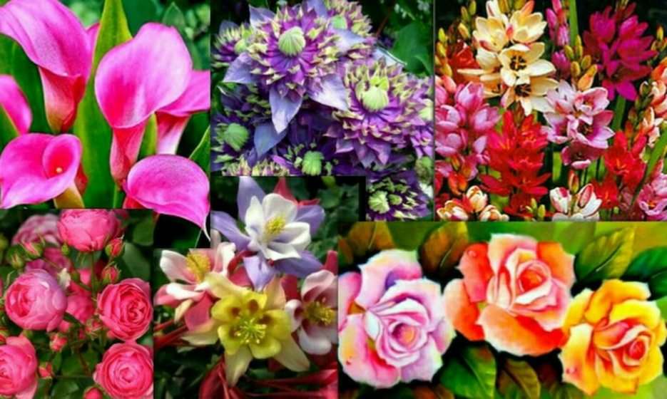 fleurs puzzle en ligne