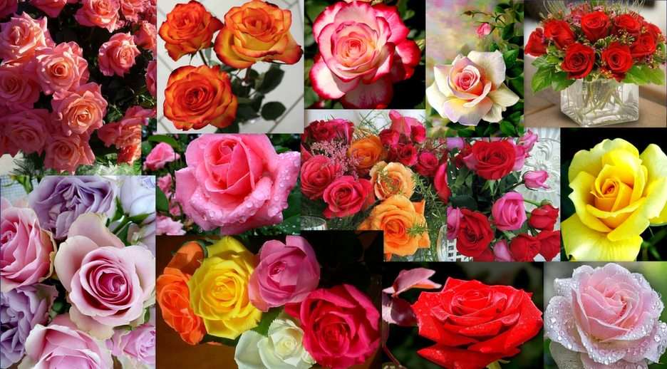 Рози онлайн пъзел от снимка