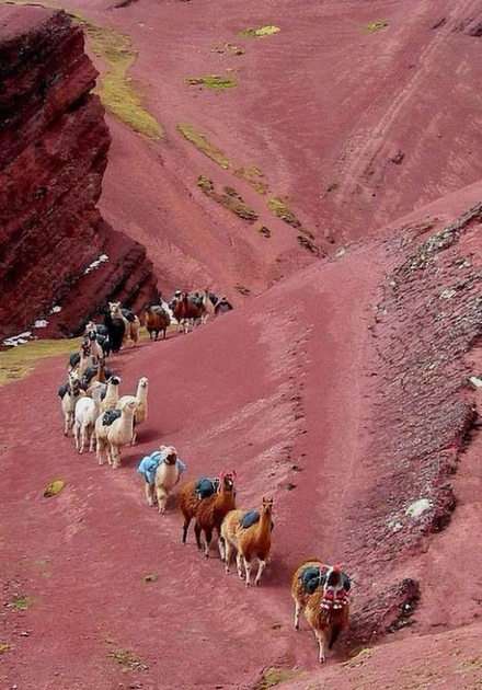 caravan in de Andes puzzel online van foto