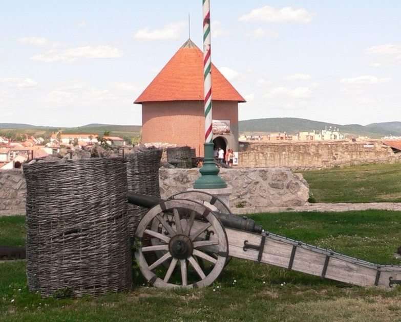 Cannon puzzle online from photo