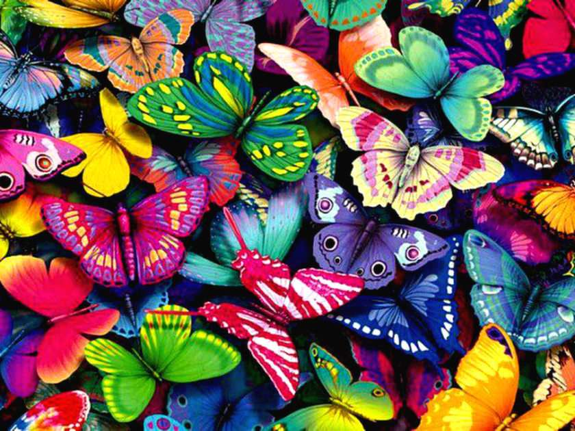 Papillons puzzle en ligne à partir d'une photo