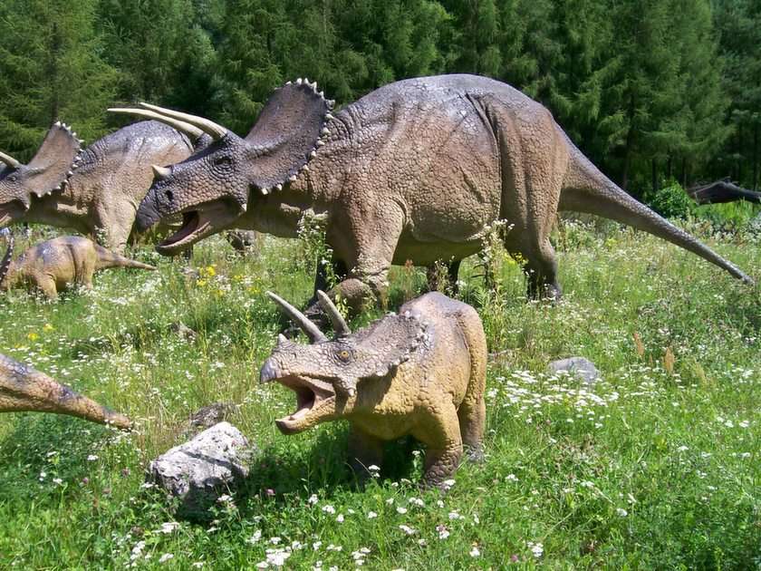 Triceratops puzzle online fotóról