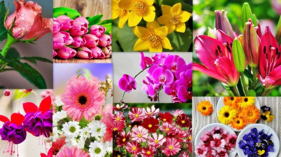Květiny puzzle online z fotografie